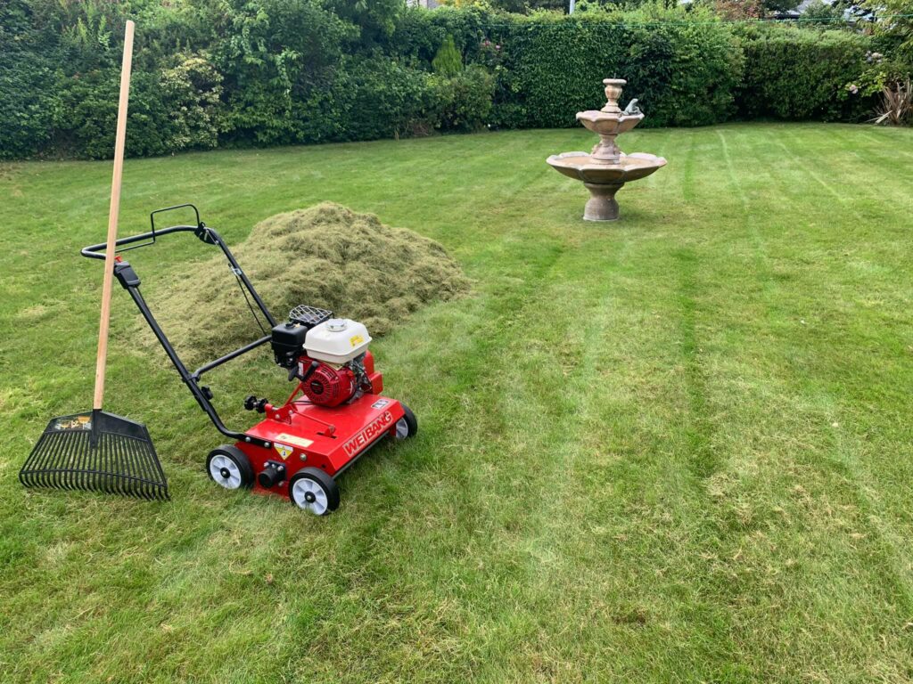 Wertykulator spalinowy - Image