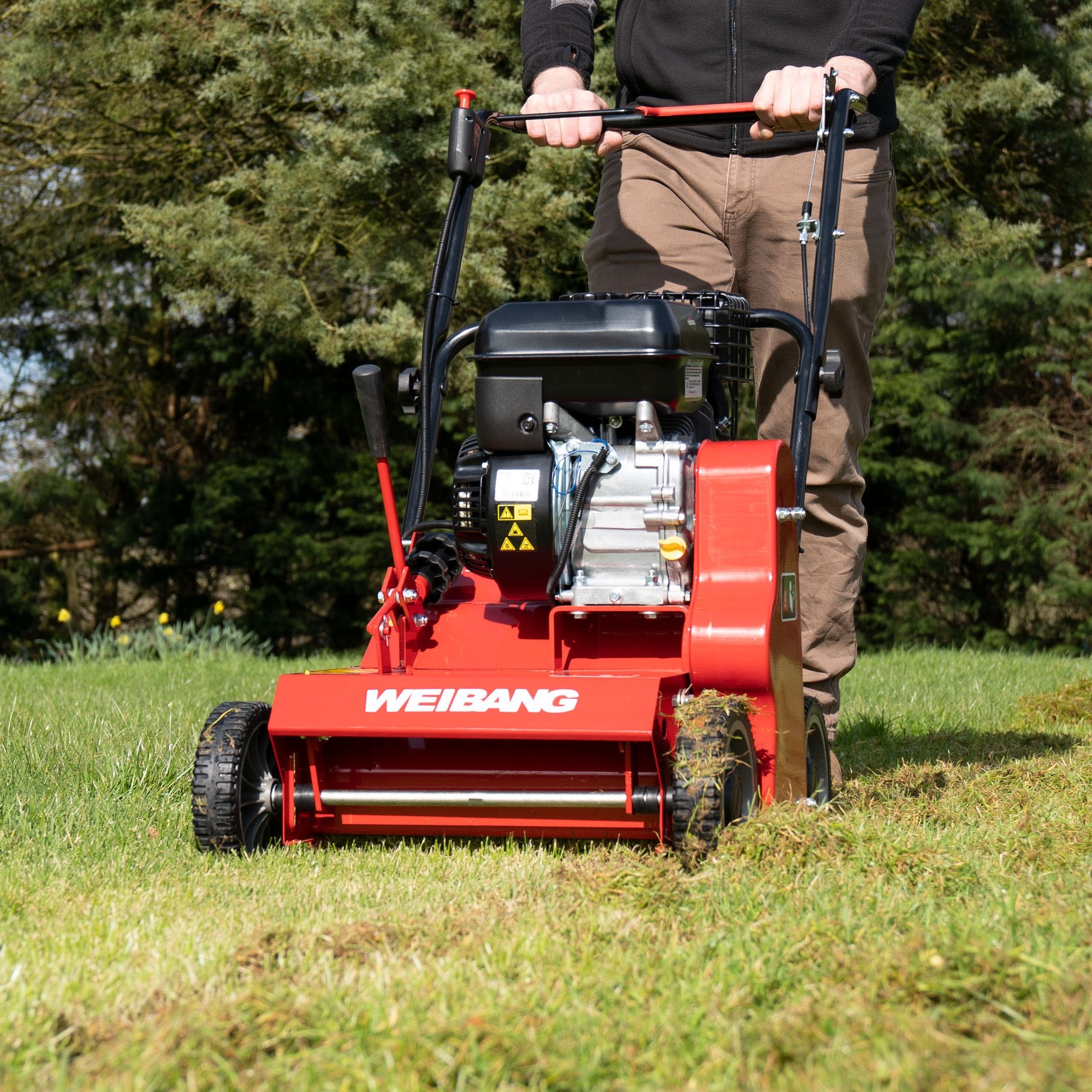 Wertykulator spalinowy - Image